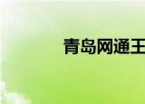 青岛网通王智礼（青岛网通）