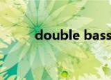 double basses（double bass）