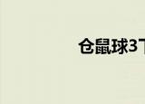 仓鼠球3下载（仓鼠球3）