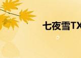 七夜雪TXT（七夜雪txt）