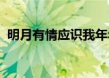 明月有情应识我年年相见在他乡表达了什么