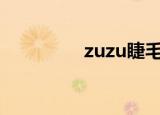 zuzu睫毛膏（za睫毛膏）