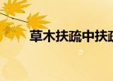 草木扶疏中扶疏的意思（草木扶疏）