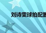 刘诗雯球拍配置2019（刘诗雯球拍）