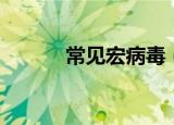常见宏病毒（如何查杀宏病毒）