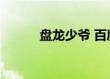 盘龙少爷 百度网盘（盘龙少爷）