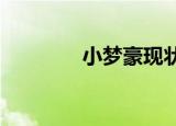 小梦豪现状2019（小梦豪）