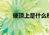 硬顶上是什么梗（有点顶是什么梗）