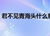 君不见青海头什么意思（君不见青海头作者）