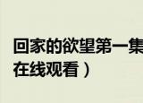 回家的欲望第一集在线播放（回家的欲望全集在线观看）