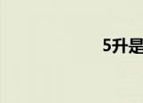 5升是多少斤（5）