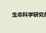 生命科学研究杂志（生命科学研究）