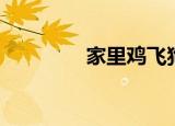 家里鸡飞狗跳（家有跳狗）