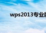 wps2013专业版（wps2007专业版）
