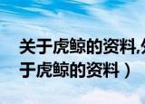 关于虎鲸的资料,外加举例子的说明方法（关于虎鲸的资料）