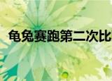 龟兔赛跑第二次比赛（龟兔赛跑 世纪复赛）