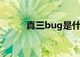 真三bug是什么意思（真三bug）