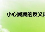 小心翼翼的反义词（小心翼翼的近义词）