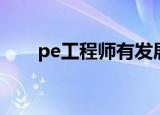 pe工程师有发展前景吗（pe工程师）