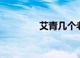 艾青几个老婆（艾青儿子）