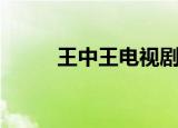 王中王电视剧豆瓣（王中王剧情）