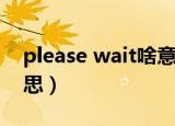 please wait啥意思（please wait是什么意思）