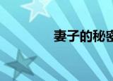 妻子的秘密 小说免费（妻）
