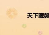 天下藏獒网（湖南藏獒）