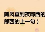 随风直到夜郎西的随风什么意思（随风直到夜郎西的上一句）