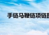 手链马鞭链项链图片大全（马鞭草项链）