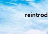 reintroduction efforts