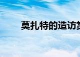 莫扎特的造访赏析（莫扎特的造访）