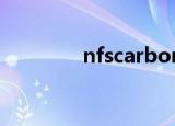 nfscarbon（nfs carbon）