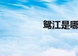 鸳江是哪里（鸳江热线）