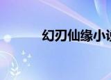 幻刃仙缘小说下载（幻刃仙缘）