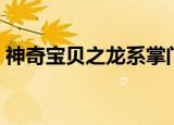 神奇宝贝之龙系掌门人精灵小子（精灵小子）