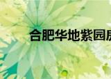 合肥华地紫园房价（合肥华地紫园）