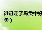 谁赶走了鸟类中好人是什么意思（谁赶走了鸟类）