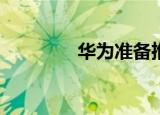  华为准备推出智能生态系统