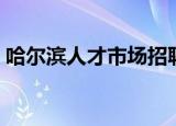 哈尔滨人才市场招聘信息（哈尔滨人才市场）