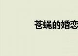 苍蝇的婚恋（恋爱的苍蝇女）