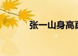 张一山身高真实（张一山身高）