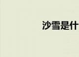 沙雪是什么（沙雪 黑人）