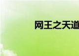 网王之天道（网王盗亦有道）