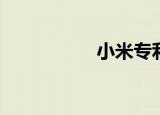  小米专利双弹出式相机