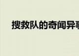 搜救队的奇闻异事（搜救队的奇闻怪事）