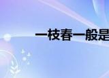 一枝春一般是指（一枝春指的是）