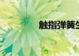 触指弹簧生产视频（触指）