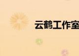 云鹤工作室（云鹤千年私服）