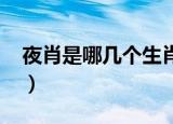 夜肖是哪几个生肖2019（夜肖是哪几个生肖）
